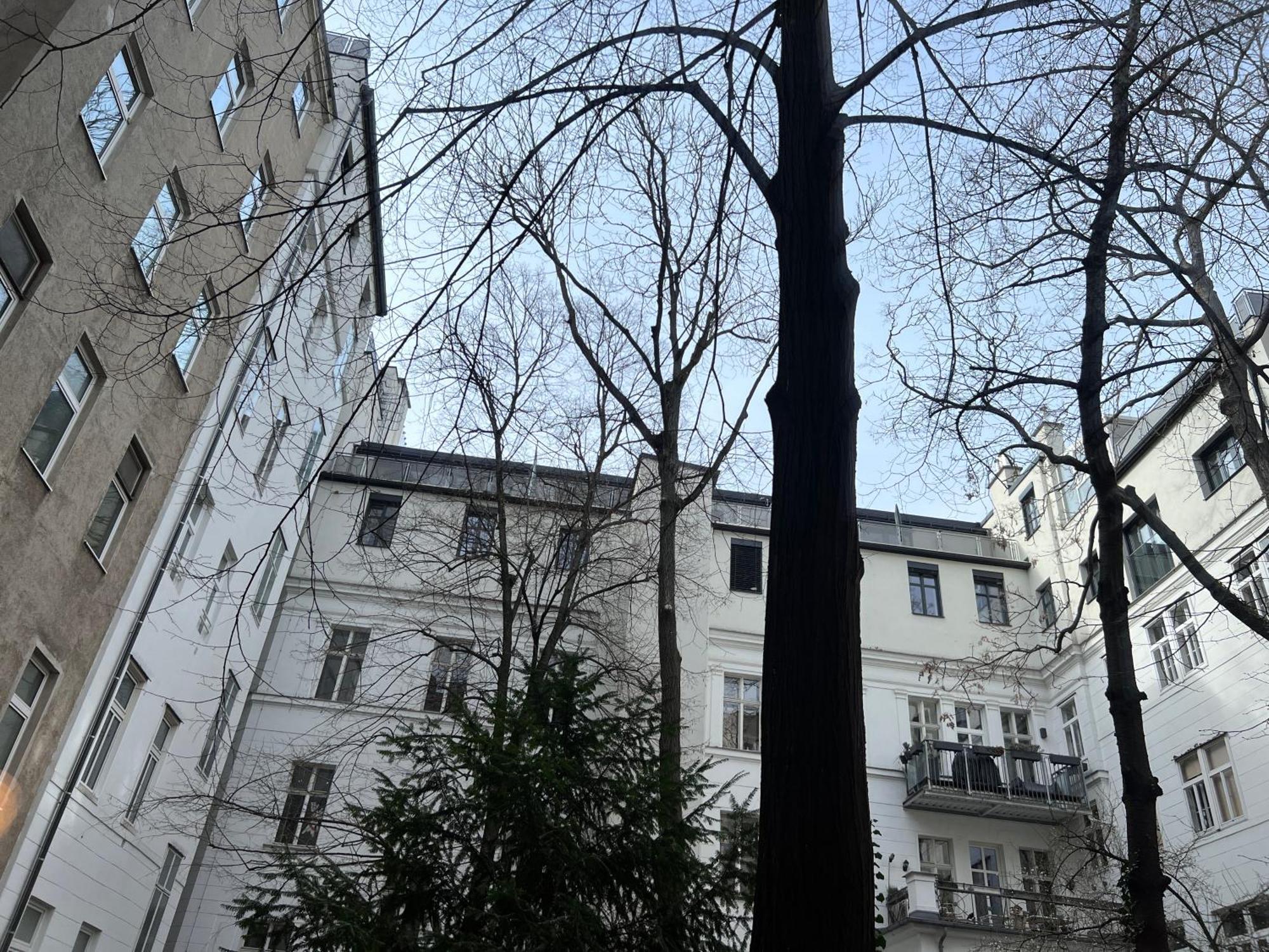 Central Loft Apartment Near Belvedere Castle Βιέννη Εξωτερικό φωτογραφία